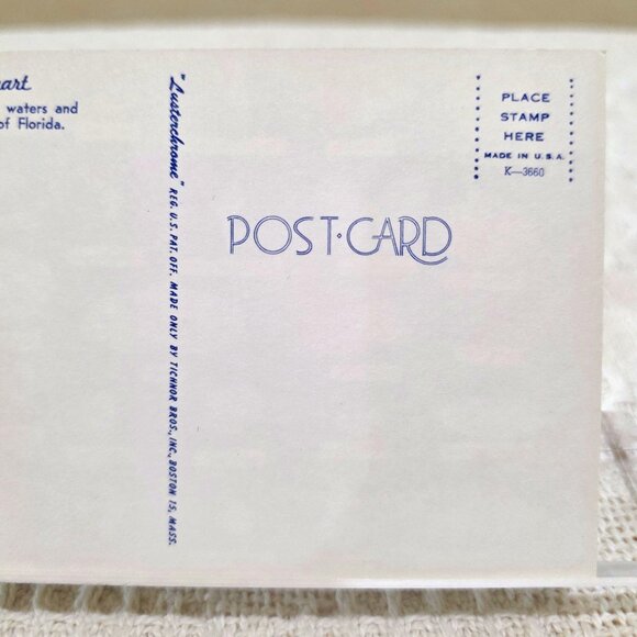 Vintage Shell Chart Waters Beaches of Florida Lusterchrome Tichnor Postcard UNP - Picture 6 of 7